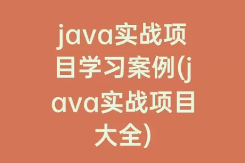 java实战项目学习案例(java实战项目大全)