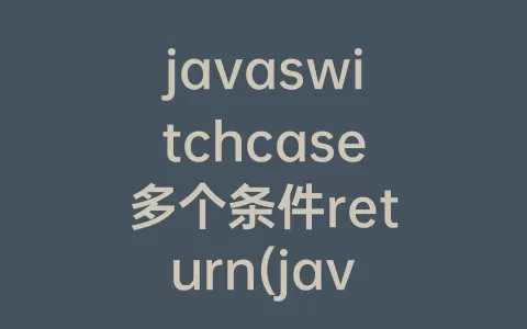 javaswitchcase多个条件return(javaswitchcase用法)