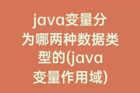java变量分为哪两种数据类型的(java变量作用域)