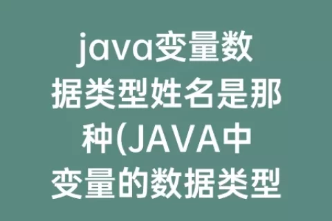 java变量数据类型姓名是那种(JAVA中变量的数据类型分为)