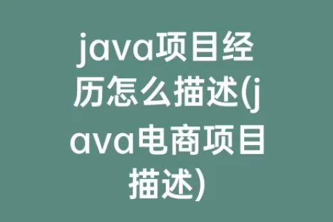 java项目经历怎么描述(java电商项目描述)