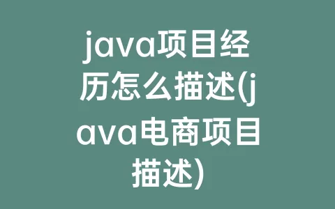 java项目经历怎么描述(java电商项目描述)