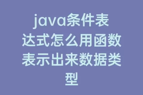java条件表达式怎么用函数表示出来数据类型
