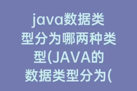 java数据类型分为哪两种类型(JAVA的数据类型分为()和()两类)