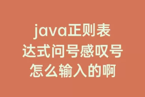 java正则表达式问号感叹号怎么输入的啊