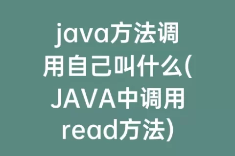 java方法调用自己叫什么(JAVA中调用read方法)