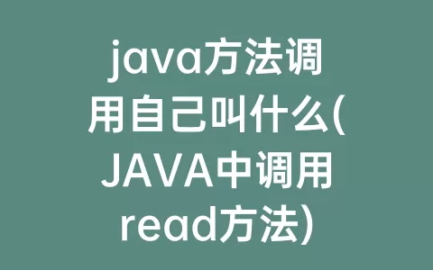 java方法调用自己叫什么(JAVA中调用read方法)