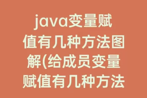 java变量赋值有几种方法图解(给成员变量赋值有几种方法)