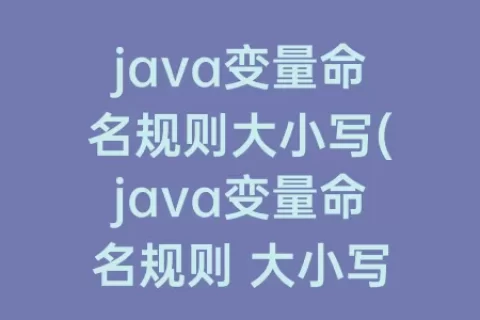 java变量命名规则大小写(java变量命名规则 大小写)