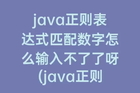 java正则表达式匹配数字怎么输入不了了呀(java正则表达式匹配数字和小数点)