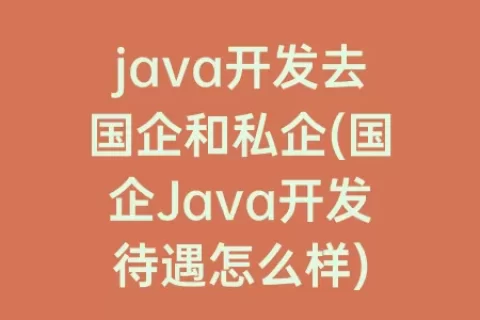 java开发去国企和私企(国企Java开发待遇怎么样)