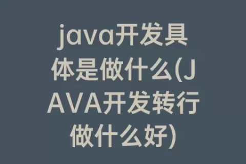 java开发具体是做什么(JAVA开发转行做什么好)