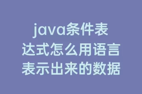 java条件表达式怎么用语言表示出来的数据