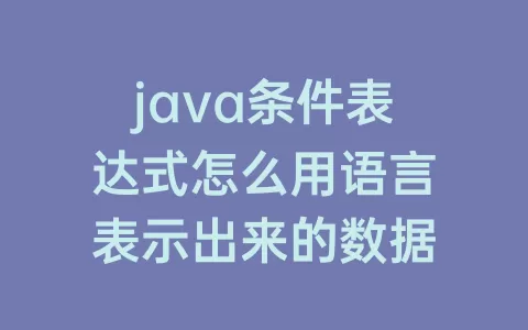 java条件表达式怎么用语言表示出来的数据