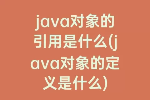 java对象的引用是什么(java对象的定义是什么)