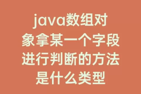 java数组对象拿某一个字段进行判断的方法是什么类型