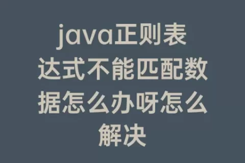 java正则表达式不能匹配数据怎么办呀怎么解决