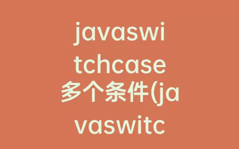 javaswitchcase多个条件(javaswitchcase用法)