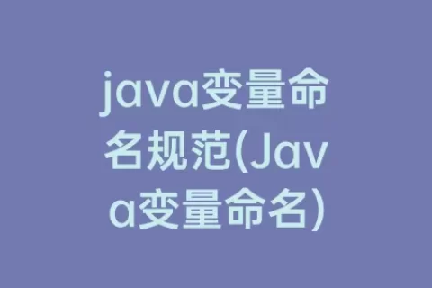 java变量命名规范(Java变量命名)