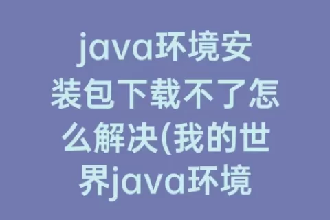 java环境安装包下载不了怎么解决(我的世界java环境安装包下载不了)