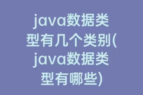 java数据类型有几个类别(java数据类型有哪些)