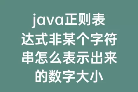 java正则表达式非某个字符串怎么表示出来的数字大小
