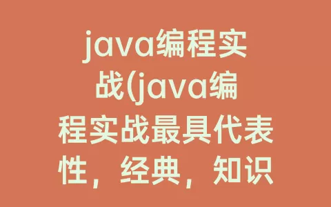 java编程实战(java编程实战最具代表性，经典，知识点最密集项目展示)