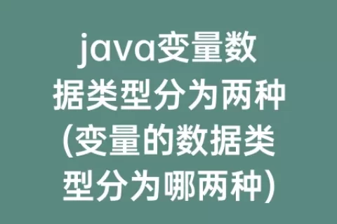 java变量数据类型分为两种(变量的数据类型分为哪两种)