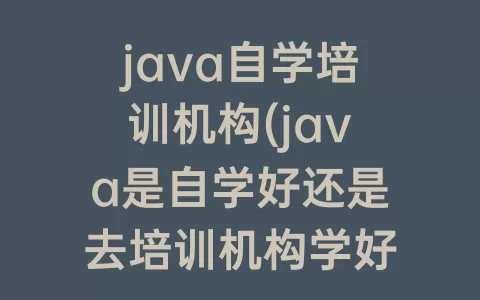 java自学培训机构(java是自学好还是去培训机构学好呢)