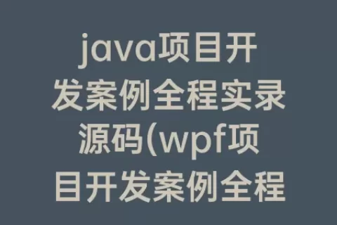 java项目开发案例全程实录源码(wpf项目开发案例全程实录)
