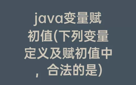 java变量赋初值(下列变量定义及赋初值中，合法的是)