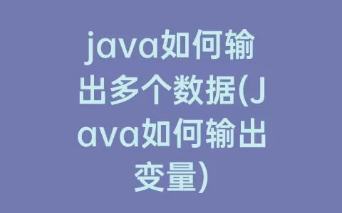 java如何输出多个数据(Java如何输出变量)