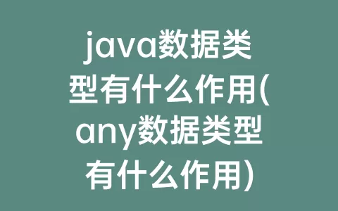 java数据类型有什么作用(any数据类型有什么作用)