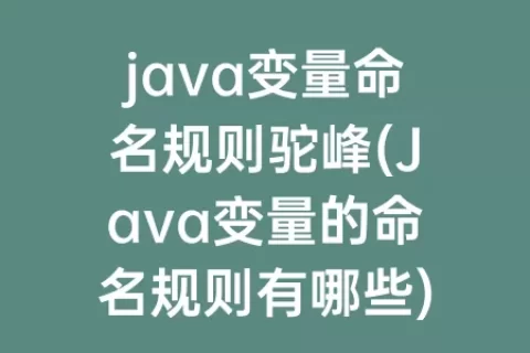 java变量命名规则驼峰(Java变量的命名规则有哪些)