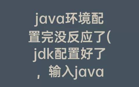 java环境配置完没反应了(jdk配置好了，输入java -version没反应)