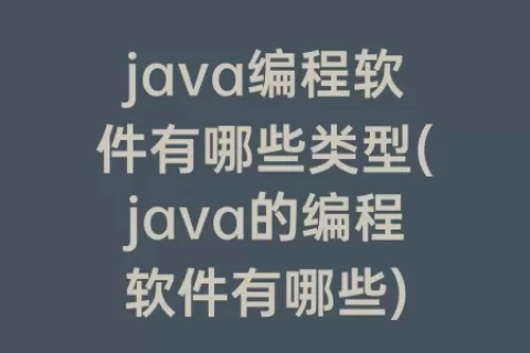 java编程软件有哪些类型(java的编程软件有哪些)