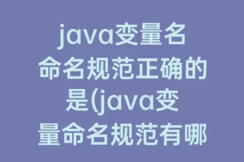 java变量名命名规范正确的是(java变量命名规范有哪些)