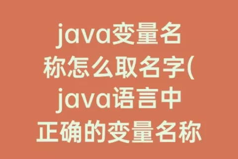 java变量名称怎么取名字(java语言中正确的变量名称)