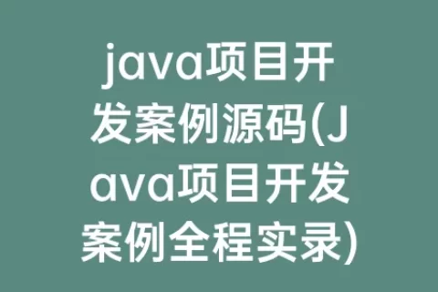 java项目开发案例源码(Java项目开发案例全程实录)