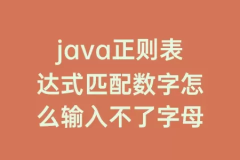 java正则表达式匹配数字怎么输入不了字母
