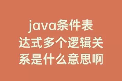 java条件表达式多个逻辑关系是什么意思啊