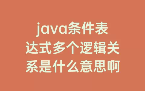 java条件表达式多个逻辑关系是什么意思啊
