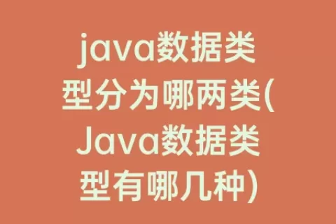 java数据类型分为哪两类(Java数据类型有哪几种)