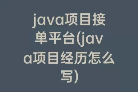 java项目接单平台(java项目经历怎么写)