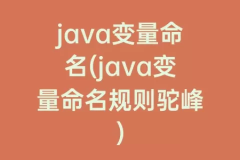 java变量命名(java变量命名规则驼峰)