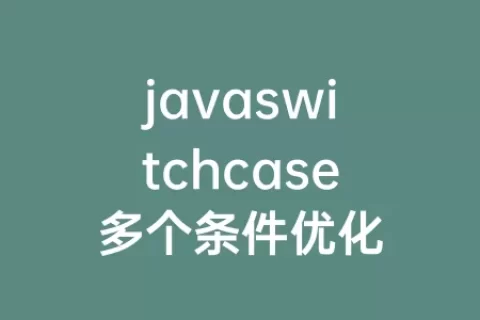 javaswitchcase多个条件优化