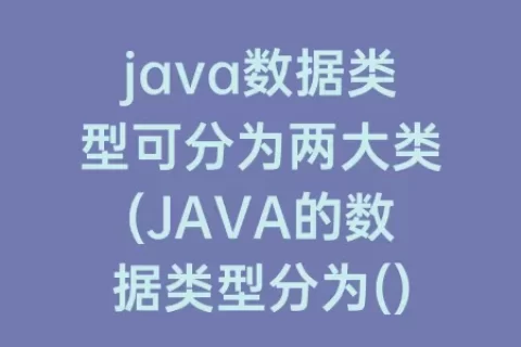 java数据类型可分为两大类(JAVA的数据类型分为()和()两类)