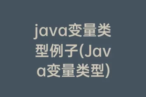 java变量类型例子(Java变量类型)