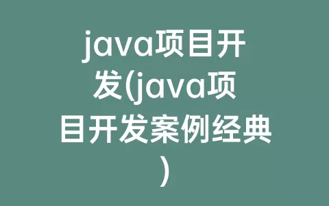 java项目开发(java项目开发案例经典)