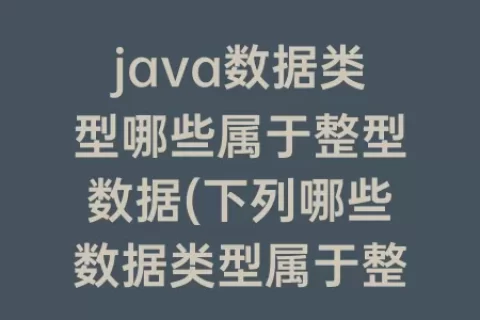 java数据类型哪些属于整型数据(下列哪些数据类型属于整型数据)